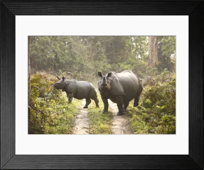Framed Print : Picture No. 10889916 Framed Print : Picture No. 10889916