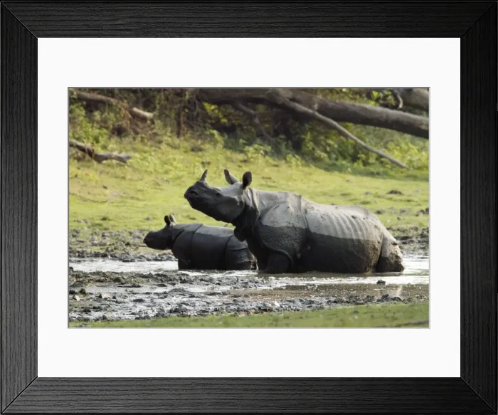 Framed Print : Picture No. 10889928 Framed Print : Picture No. 10889928