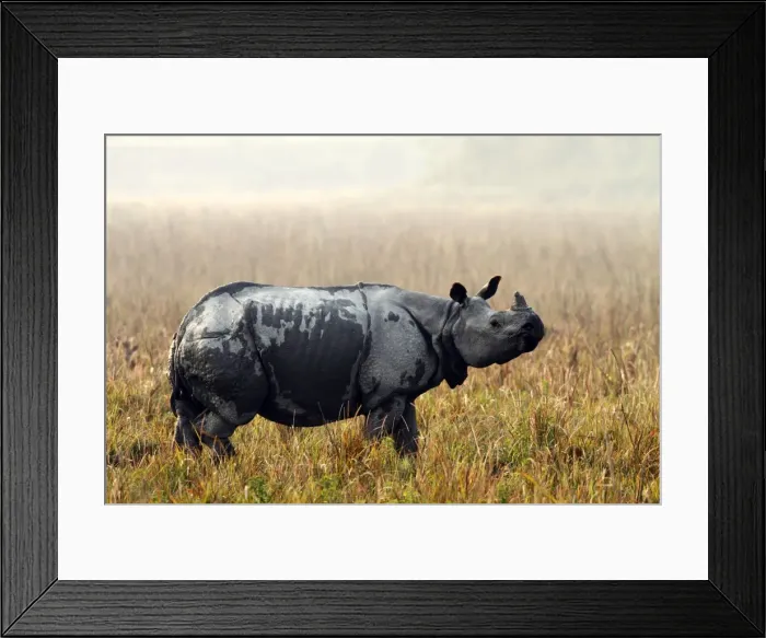 Framed Print : Picture No. 10889926 Framed Print : Picture No. 10889926