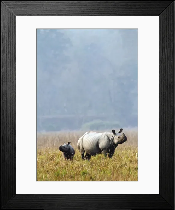 Framed Print : Picture No. 10889931 Framed Print : Picture No. 10889931