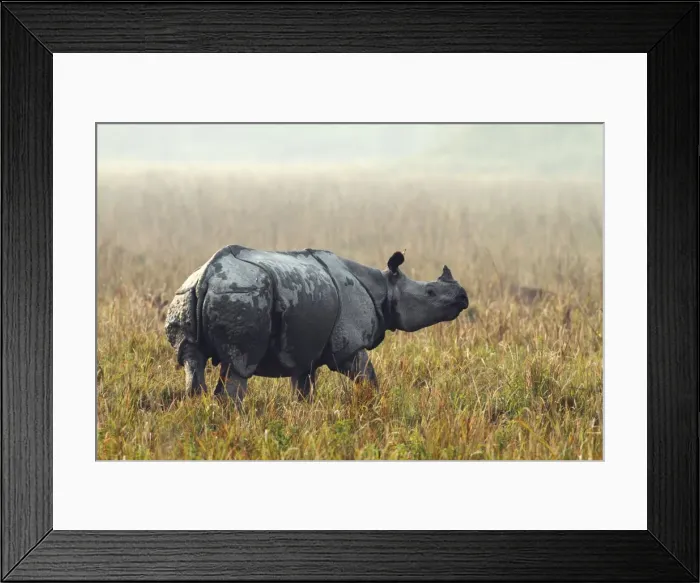 Framed Print : Picture No. 10889938