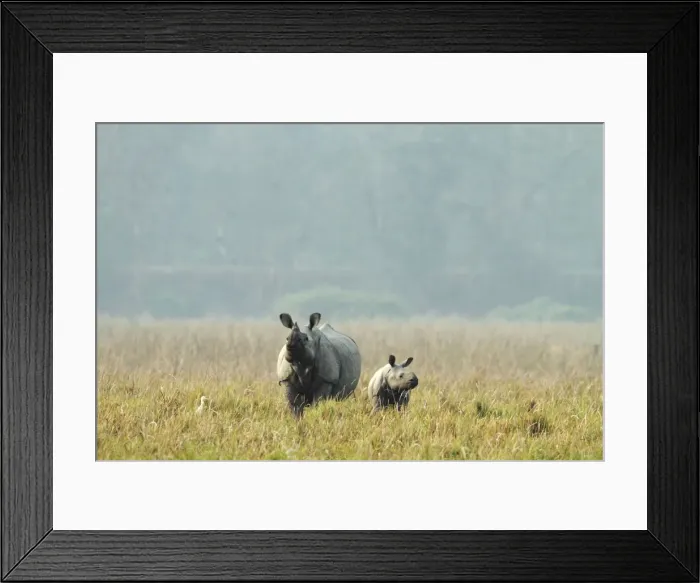 Framed Print : Picture No. 10889941 Framed Print : Picture No. 10889941