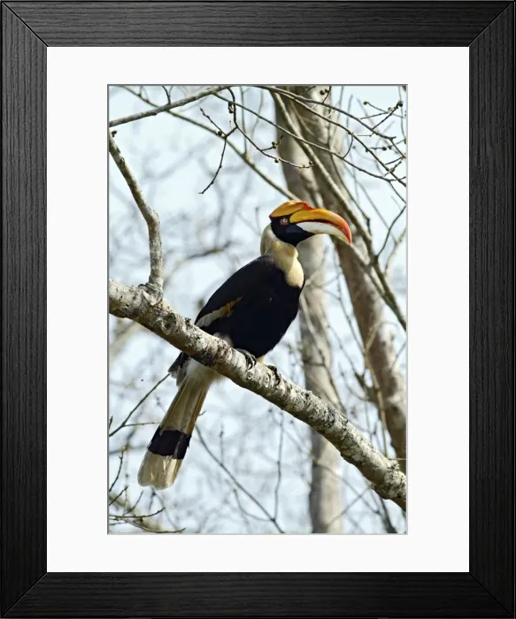 Framed Print : Picture No. 10889944 Framed Print : Picture No. 10889944