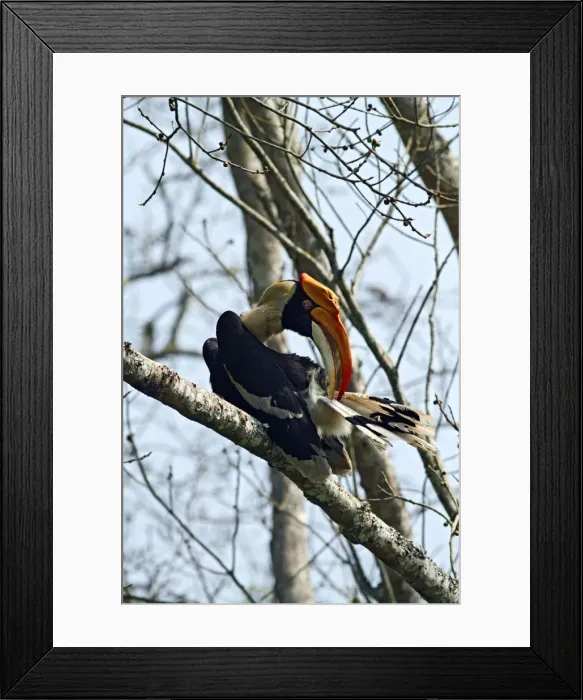 Framed Print : Picture No. 10889945 Framed Print : Picture No. 10889945