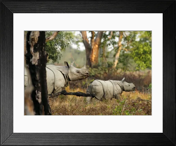 Framed Print : Picture No. 10889951 Framed Print : Picture No. 10889951
