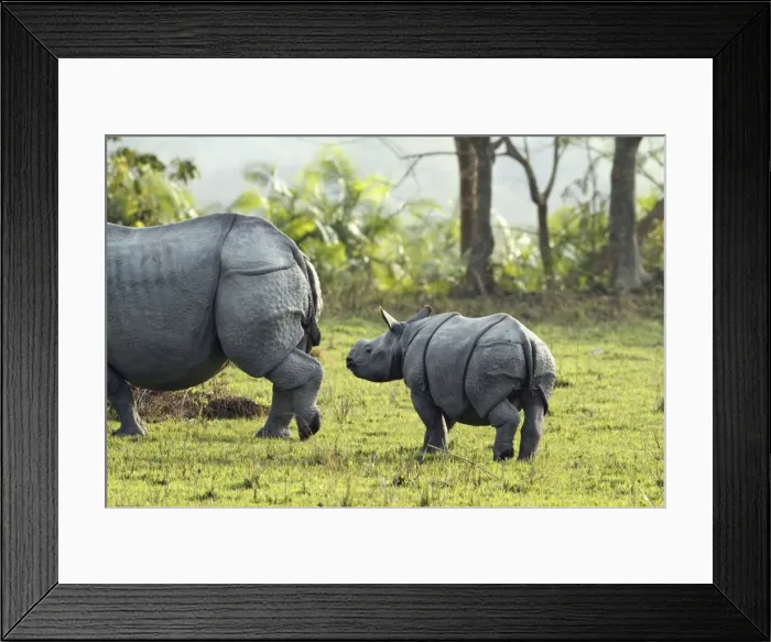 Framed Print : Picture No. 10889952 Framed Print : Picture No. 10889952