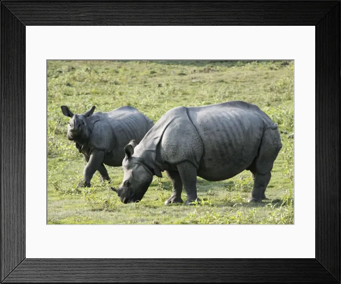Framed Print : Picture No. 10889949 Framed Print : Picture No. 10889949
