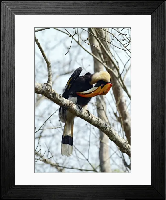 Framed Print : Picture No. 10889954 Framed Print : Picture No. 10889954