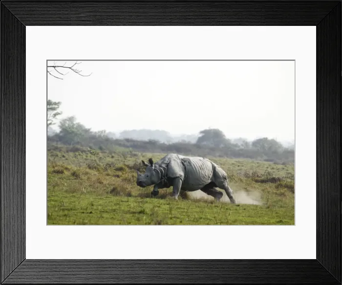 Framed Print : Picture No. 10889960 Framed Print : Picture No. 10889960