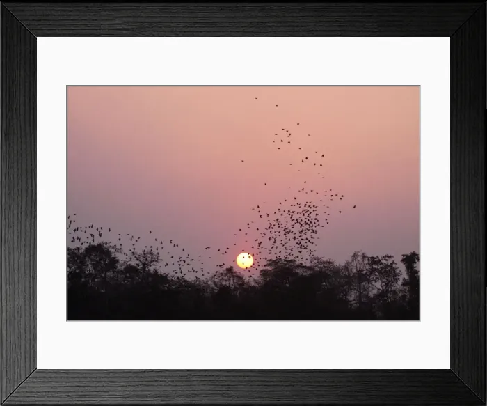 Framed Print : Picture No. 10889967