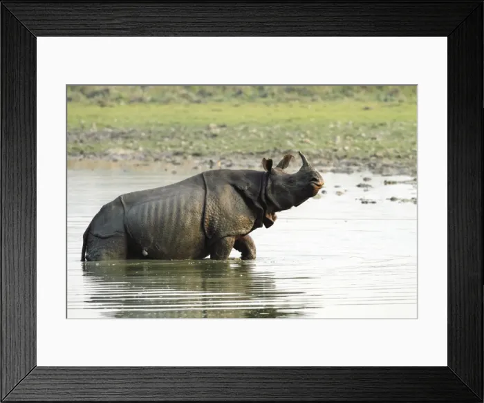 Framed Print : Picture No. 10890018