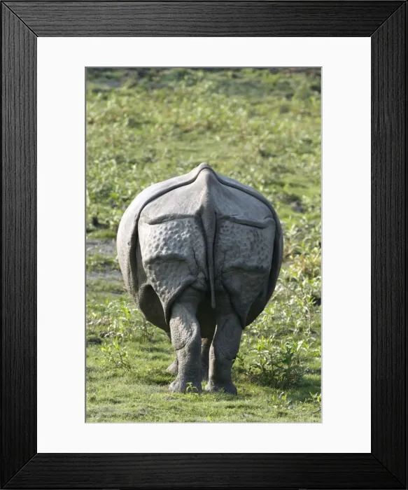 Framed Print : Picture No. 10890022 Framed Print : Picture No. 10890022