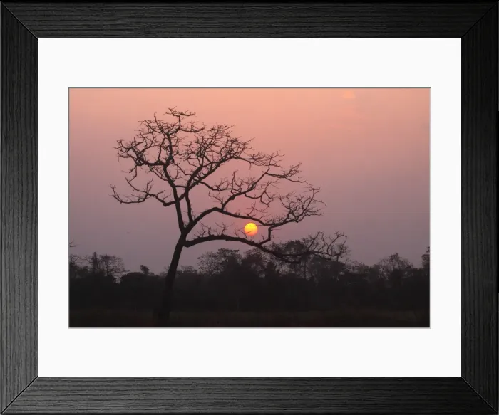 Framed Print : Picture No. 10890024 Framed Print : Picture No. 10890024