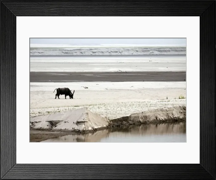 Framed Print : Picture No. 10890030 Framed Print : Picture No. 10890030