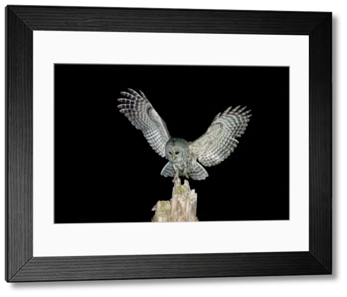Framed Print : Picture No. 10890035 Framed Print : Picture No. 10890035