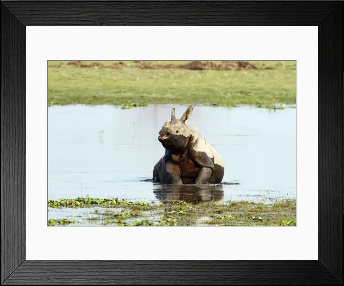 Framed Print : Picture No. 10890026 Framed Print : Picture No. 10890026