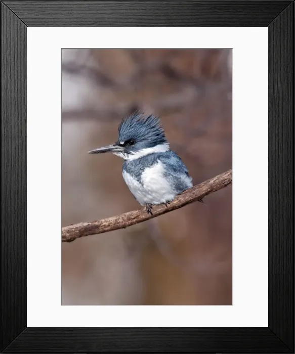 Framed Print : Picture No. 10890038 Framed Print : Picture No. 10890038