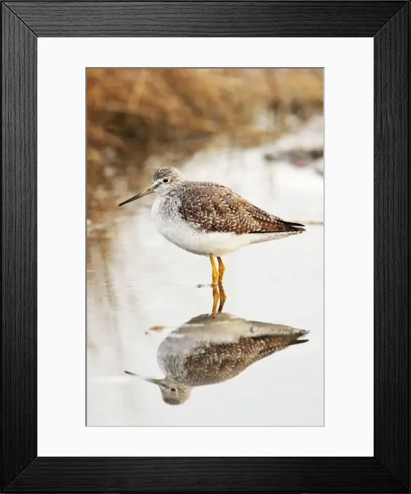 Framed Print : Picture No. 10890067 Framed Print : Picture No. 10890067
