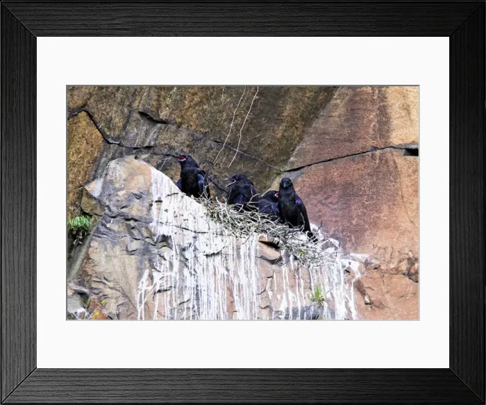 Framed Print : Picture No. 10890057 Framed Print : Picture No. 10890057