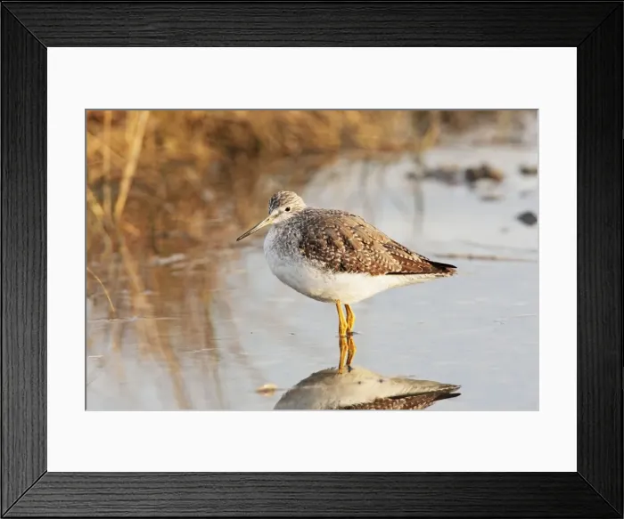 Framed Print : Picture No. 10890068 Framed Print : Picture No. 10890068