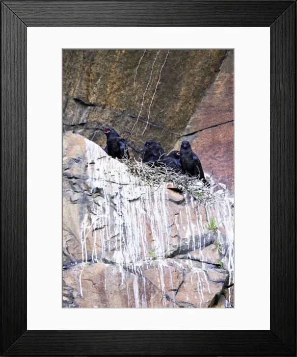 Framed Print : Picture No. 10890058 Framed Print : Picture No. 10890058