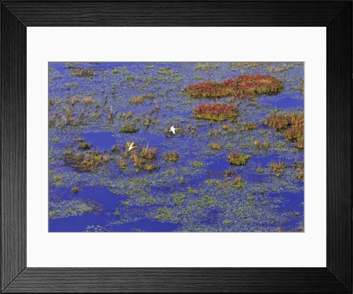 Framed Print : Picture No. 10890075 Framed Print : Picture No. 10890075