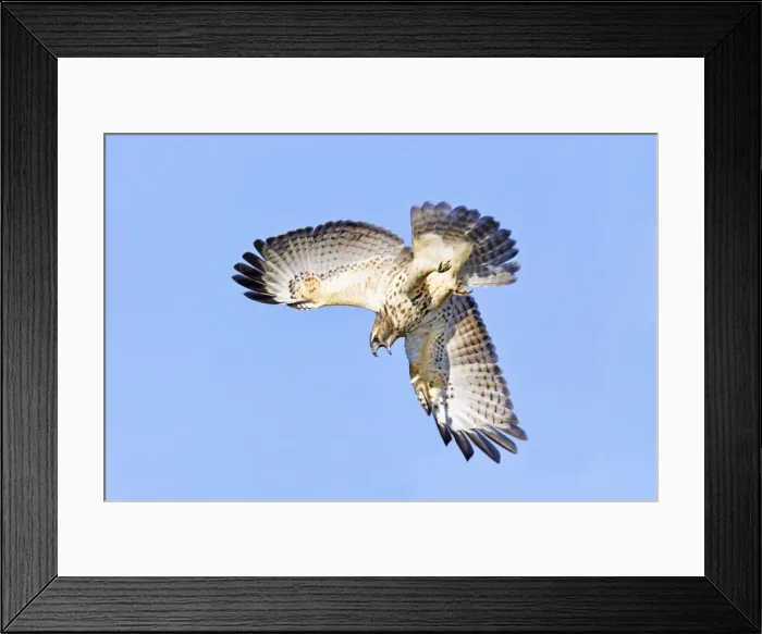 Framed Print : Picture No. 10890105 Framed Print : Picture No. 10890105