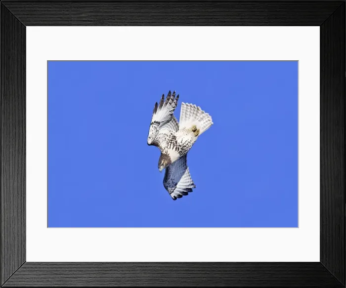 Framed Print : Picture No. 10890108 Framed Print : Picture No. 10890108