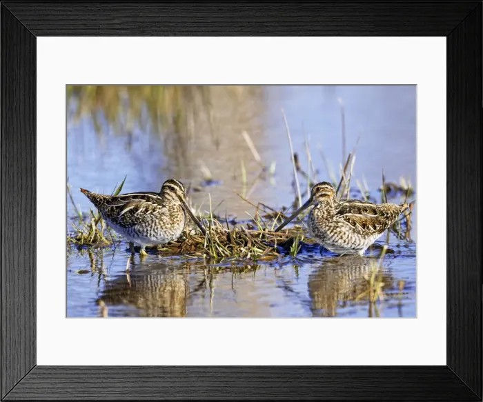 Framed Print : Picture No. 10890133 Framed Print : Picture No. 10890133