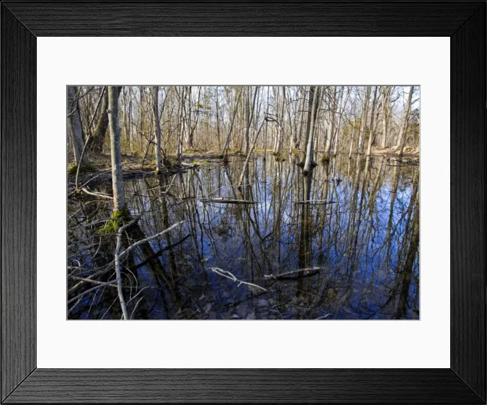 Framed Print : Picture No. 10890128 Framed Print : Picture No. 10890128