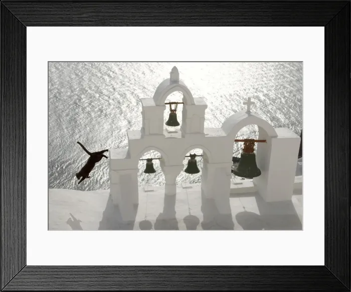 Framed Print : Picture No. 10890144