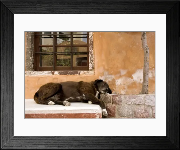 Framed Print : Picture No. 10890143 Framed Print : Picture No. 10890143