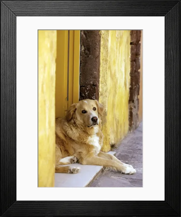 Framed Print : Picture No. 10890146 Framed Print : Picture No. 10890146