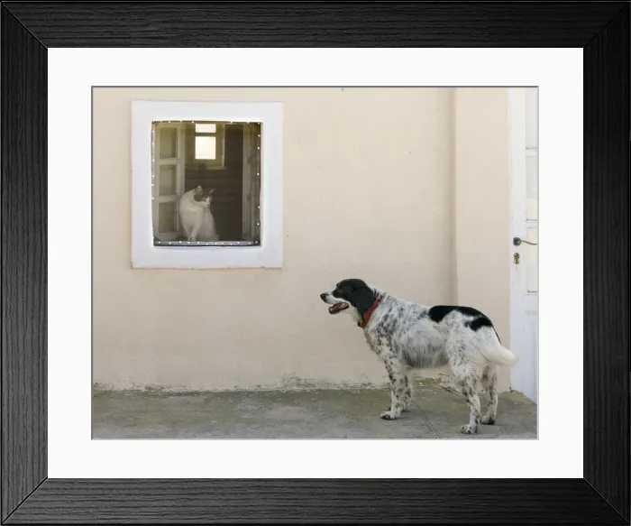 Framed Print : Picture No. 10890152 Framed Print : Picture No. 10890152