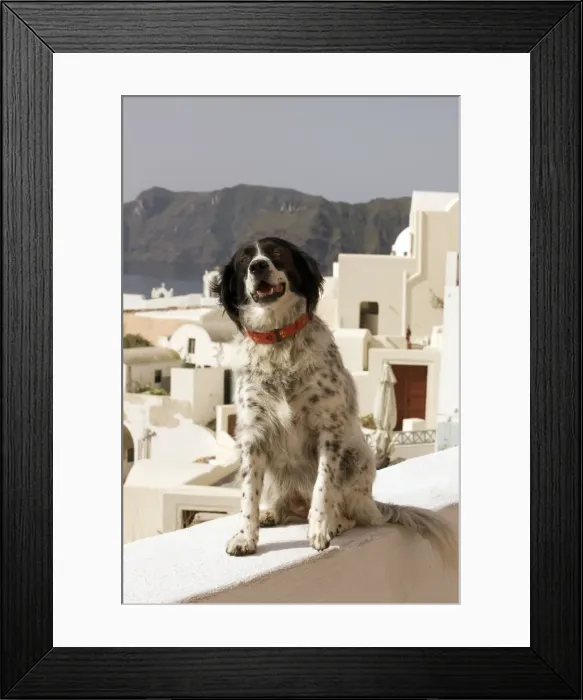 Framed Print : Picture No. 10890148 Framed Print : Picture No. 10890148