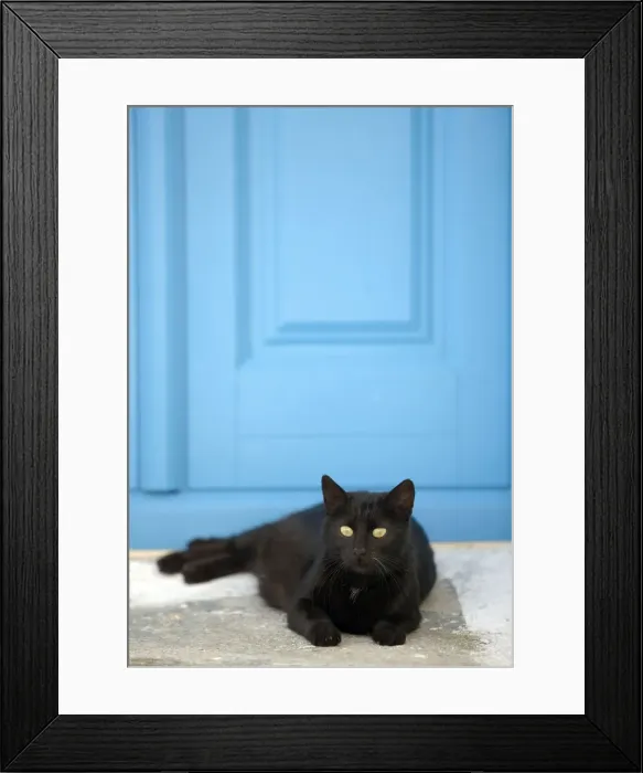 Framed Print : Picture No. 10890154 Framed Print : Picture No. 10890154