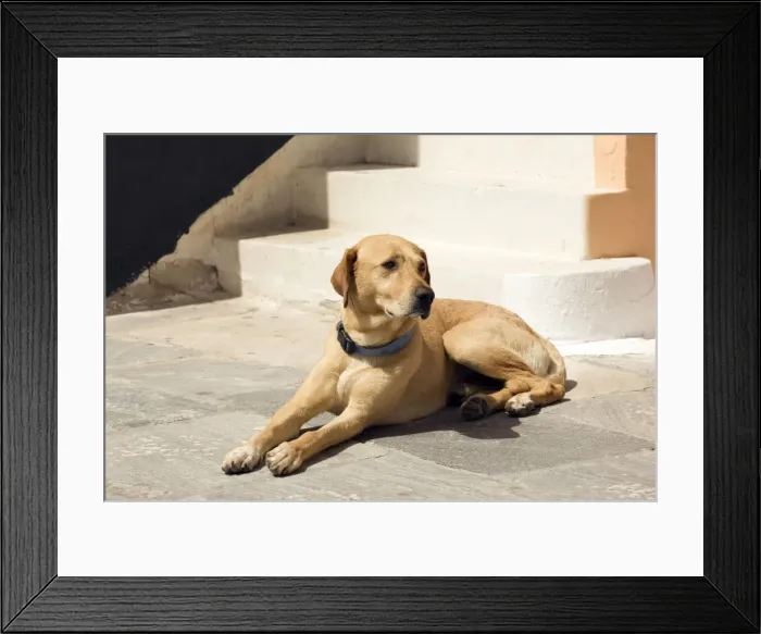 Framed Print : Picture No. 10890155 Framed Print : Picture No. 10890155
