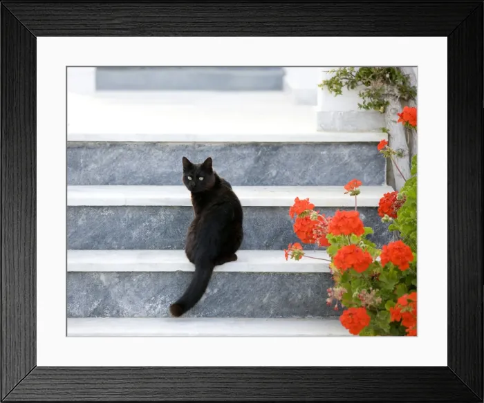 Framed Print : Picture No. 10890157 Framed Print : Picture No. 10890157