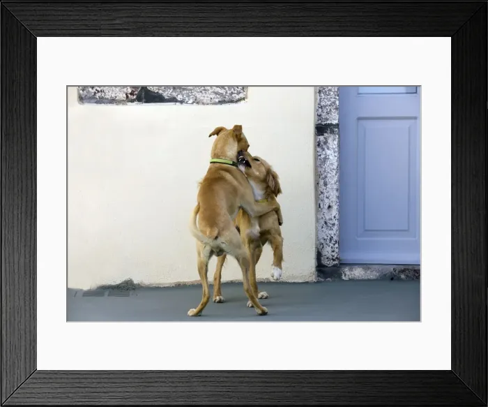 Framed Print : Picture No. 10890166 Framed Print : Picture No. 10890166
