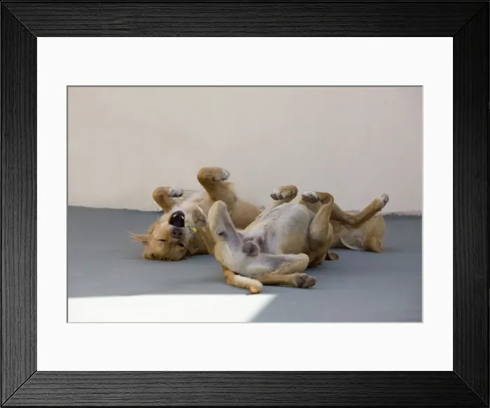 Framed Print : Picture No. 10890165 Framed Print : Picture No. 10890165