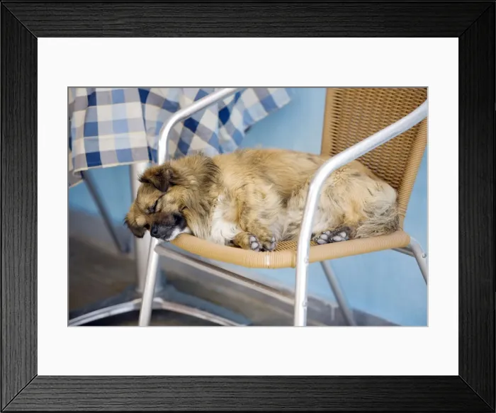 Framed Print : Picture No. 10890168 Framed Print : Picture No. 10890168