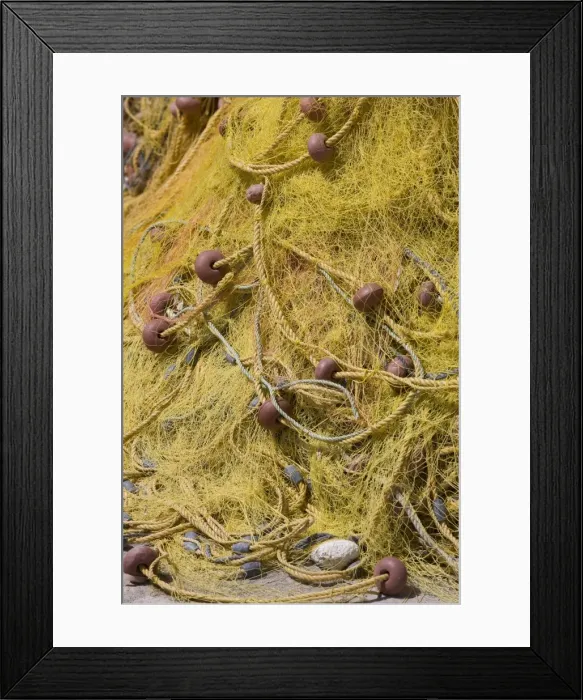 Framed Print : Picture No. 10890169 Framed Print : Picture No. 10890169