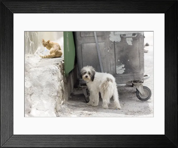 Framed Print : Picture No. 10890177 Framed Print : Picture No. 10890177
