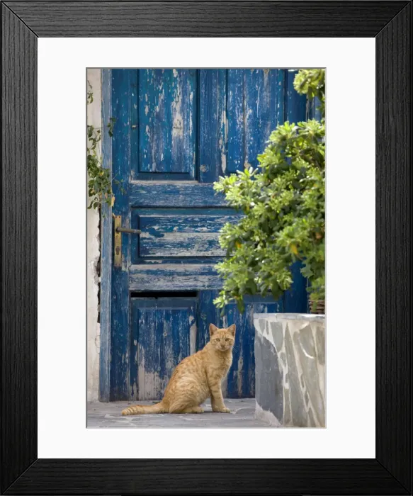 Framed Print : Picture No. 10890176