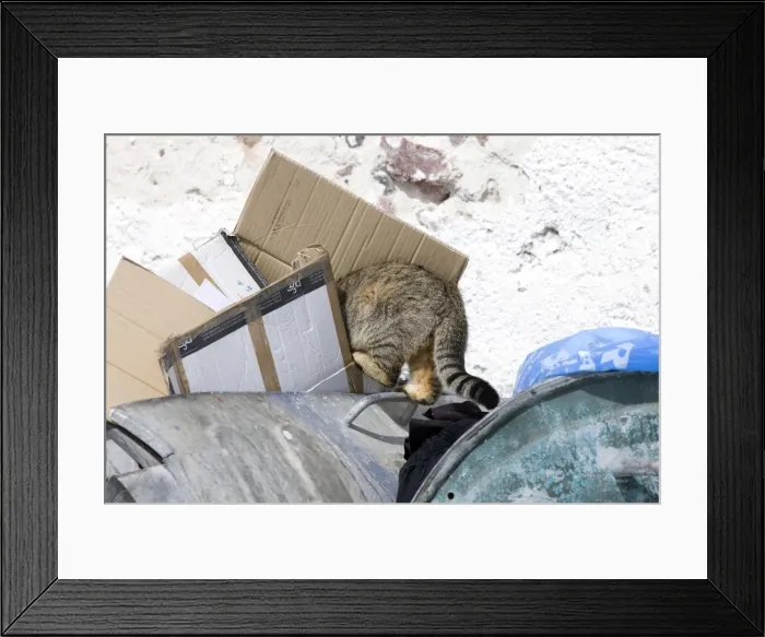 Framed Print : Picture No. 10890178 Framed Print : Picture No. 10890178