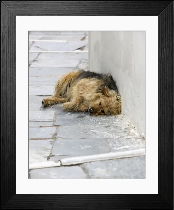 Framed Print : Picture No. 10890181 Framed Print : Picture No. 10890181