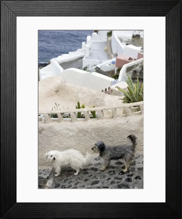 Framed Print : Picture No. 10890180 Framed Print : Picture No. 10890180