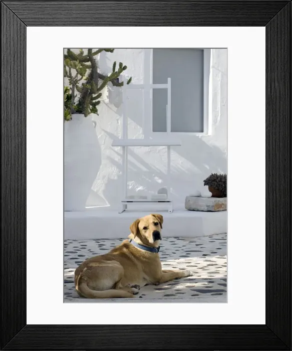 Framed Print : Picture No. 10890182 Framed Print : Picture No. 10890182