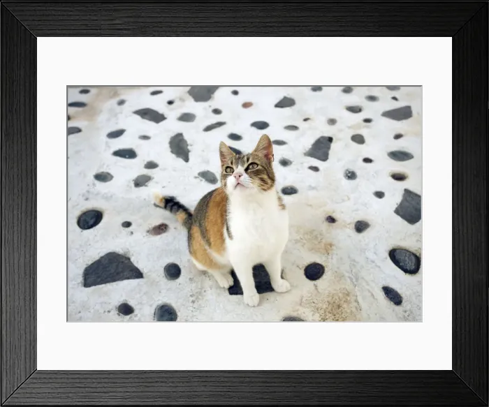 Framed Print : Picture No. 10890188 Framed Print : Picture No. 10890188