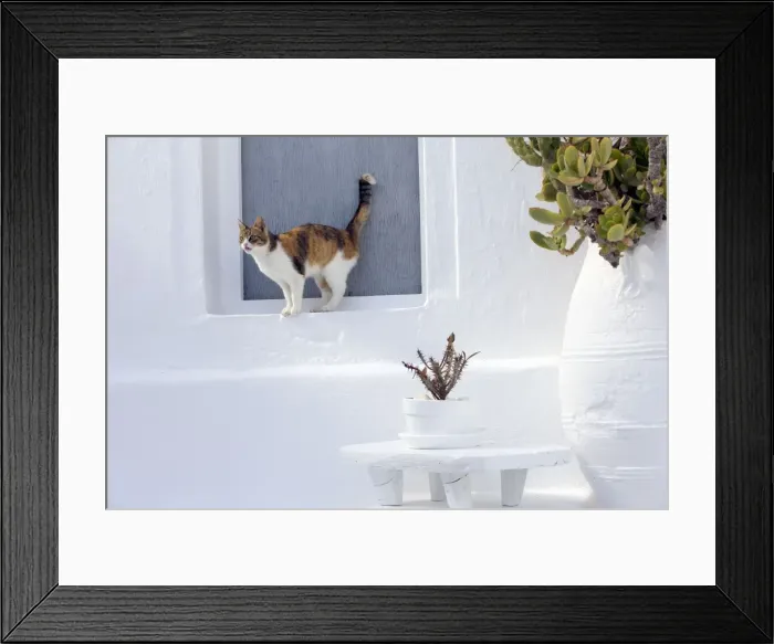 Framed Print : Picture No. 10890185 Framed Print : Picture No. 10890185